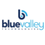 Understanding Blue Valley Internet: A Comprehensive Guide
